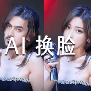 在线AI换脸软件 - 浏览器运行的视频图片处理工具